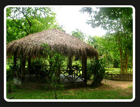 Bon Habi Jungle Resort, Kaziranga