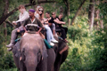 Elephant Safari Corbett Tour