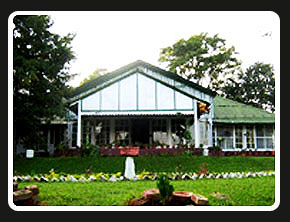 Kaliabor Manor Resort, Kaziranga