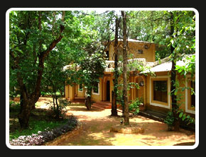 The Krishna Jungle Resort, Kanha