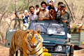Bandhavgarh National Park
