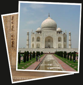 Wild Life Tour with Taj Mahal